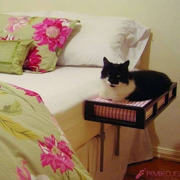 Pratik ve ilginç ev - bahçe dekorasyonu  yatak yanına kedi yatağı