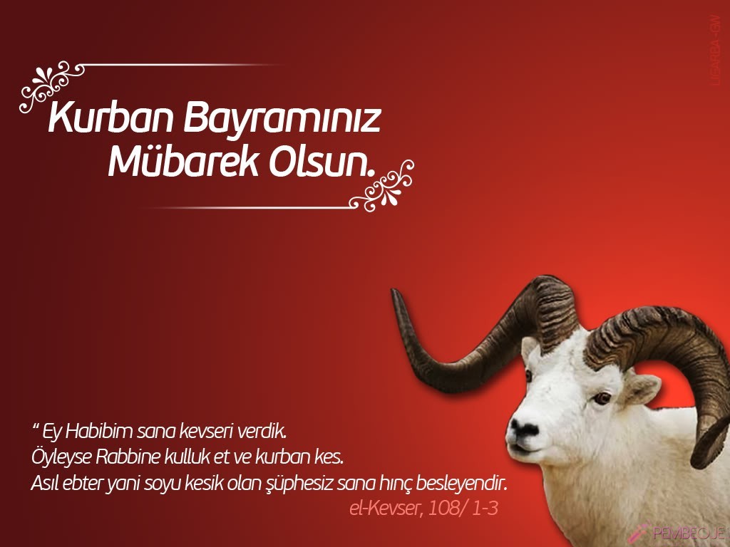 Kurban Bayramında kilo nasıl verilir Kurban Bayramında kilo nasıl verilir