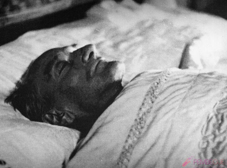 Mustafa Kemal Atatürk Resimleri  Ölümü