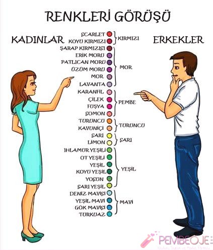 Kadınlar ve Erkekler Arasındaki Farklar (3)