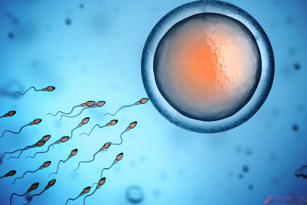 Sperm Yutmak Zararlı mı