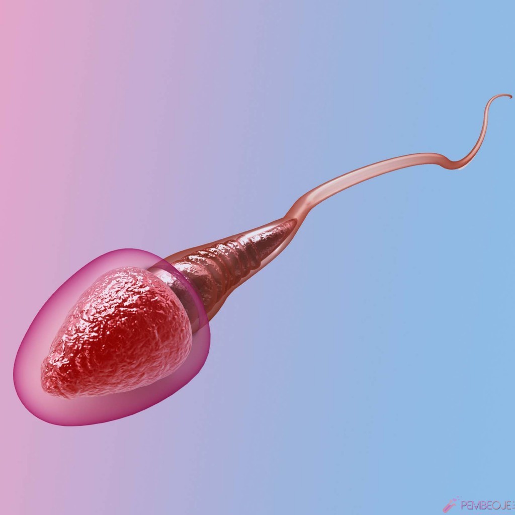 Sperm Yuttum Hamile Kalırmıyım