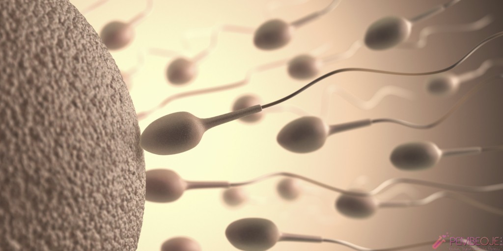 Kadınlarda Sperm Alerjisi