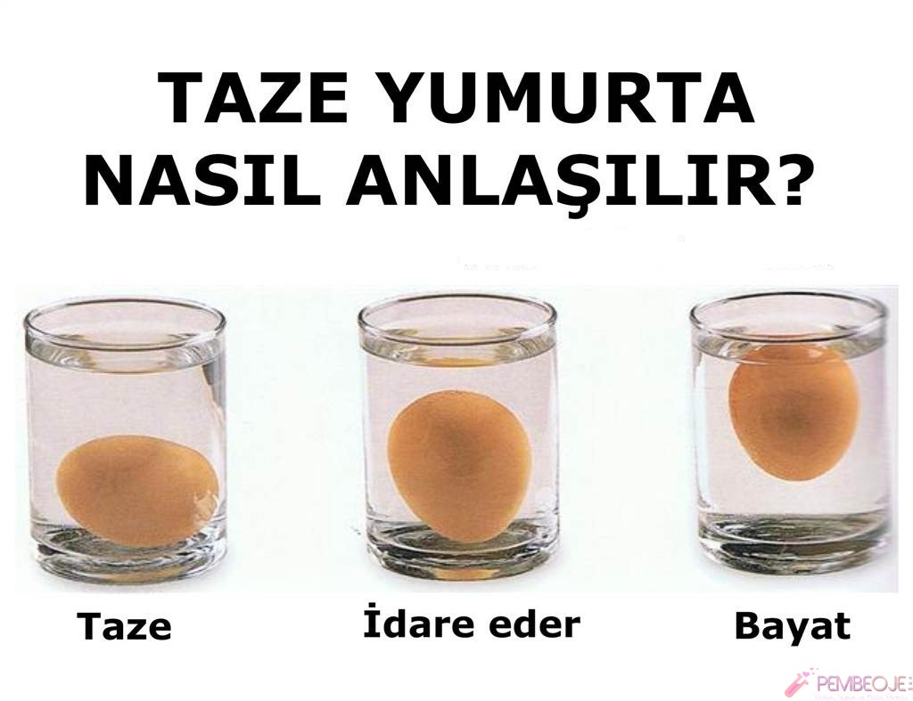 Bayat Yumurta Nasıl Anlaşılır Bayat Yumurta Nasıl Anlaşılır
