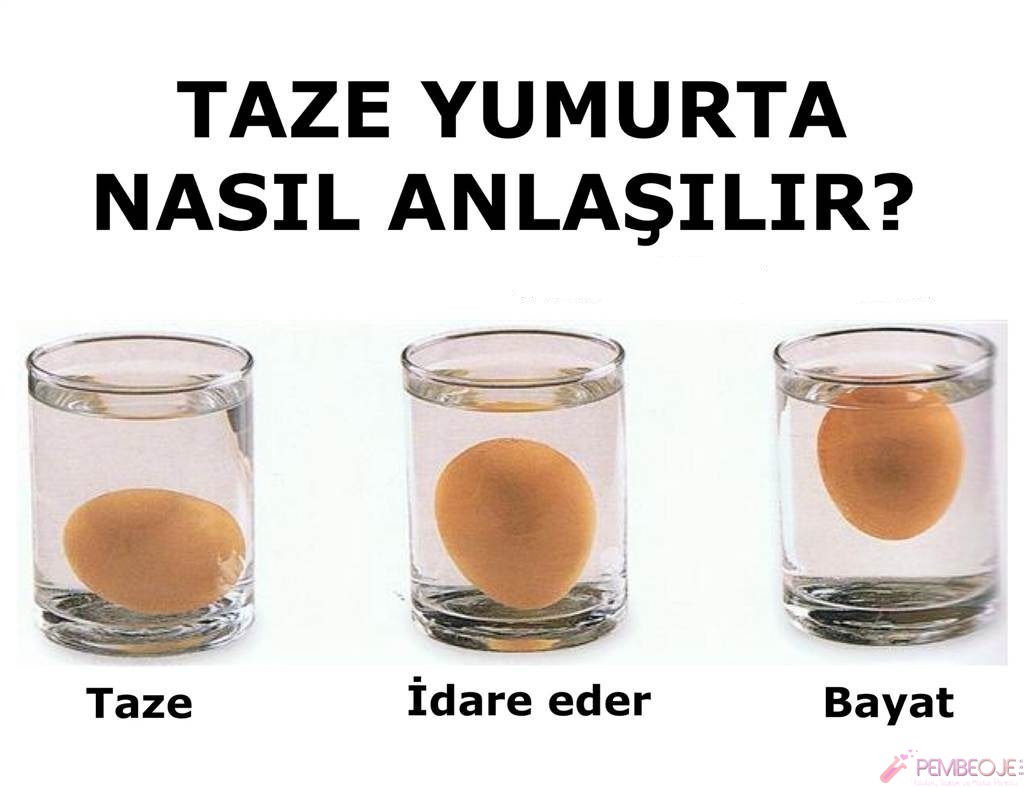 Taze Yumurta Nasıl Anlaşılır