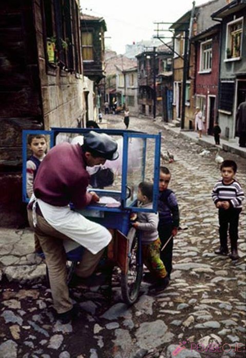 pamuk helvacı